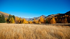 Landscapes nature Trees autumn hills fields forests skyscapes