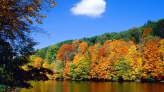 Landscapes nature Trees autumn orange rivers