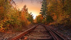Landscapes nature Trees autumn railroad tracks skylines