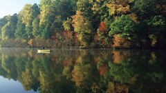 Landscapes nature Trees autumn reflections