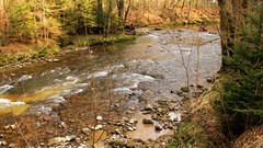 Landscapes nature Trees autumn rivers