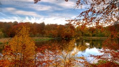 Landscapes nature Trees autumn rivers