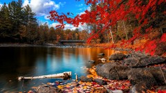 Landscapes nature Trees autumn rocks rivers forests HDR 