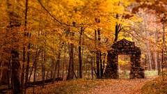 Landscapes nature Trees autumn ruins