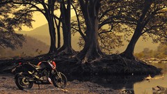 Landscapes nature Trees bikers Engines rivers riverside 