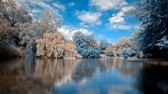 Landscapes nature Trees blue lagoon reflections stephen Saphire