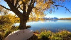 Landscapes nature Trees Boats lakes