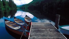 Landscapes nature Trees Boats piers rivers