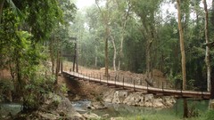 Landscapes nature Trees Bridges flora