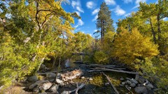 Landscapes nature Trees brook