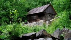 Landscapes nature Trees buildings cabin forests