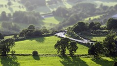 Landscapes nature Trees cars tilt-shift