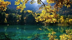 Landscapes nature Trees China lakes national park forests