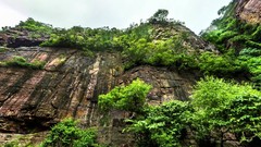 Landscapes nature Trees China Park cliffs