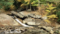 Landscapes nature Trees cliffs wet rocks forests wildlife 