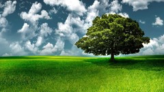 Landscapes nature Trees clouds