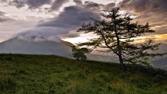 Landscapes nature Trees clouds