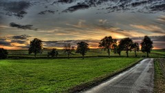 Landscapes nature Trees clouds