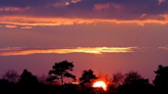 Landscapes nature Trees clouds