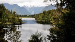 Landscapes nature Trees clouds