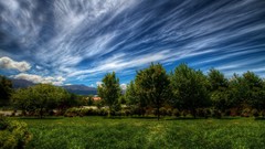 Landscapes nature Trees clouds
