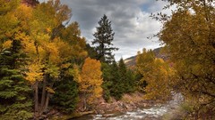 Landscapes nature Trees clouds