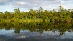 Landscapes nature Trees clouds