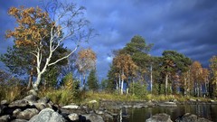 Landscapes nature Trees clouds
