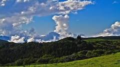 Landscapes nature Trees clouds