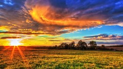 Landscapes nature Trees clouds