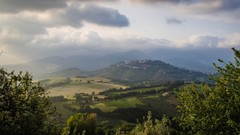 Landscapes nature Trees clouds