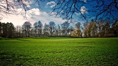 Landscapes nature Trees clouds