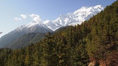 Landscapes nature Trees clouds