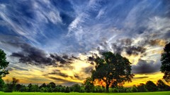 Landscapes nature Trees clouds