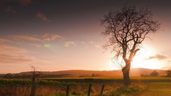 Landscapes nature Trees clouds