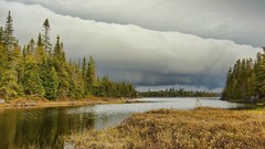 Landscapes nature Trees clouds
