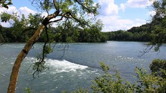 Landscapes nature Trees clouds
