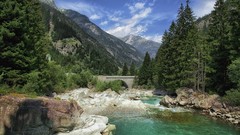 Landscapes nature Trees clouds