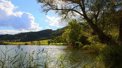 Landscapes nature Trees clouds