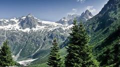 Landscapes nature Trees clouds