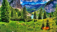 Landscapes nature Trees clouds