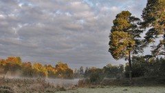 Landscapes nature Trees clouds