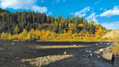 Landscapes nature Trees clouds