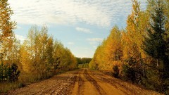 Landscapes nature Trees clouds autumn roads skylines