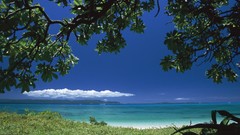 Landscapes nature Trees clouds Beaches