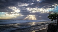 Landscapes nature Trees clouds Beaches