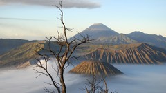 Landscapes nature Trees clouds branches Volcanoes mist