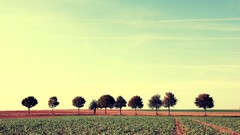 Landscapes nature Trees clouds fields viewscape