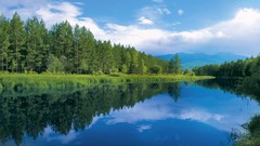 Landscapes nature Trees clouds forests