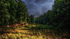 Landscapes nature Trees clouds forests HDR Photography